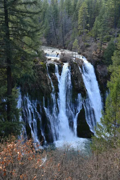 DSC_5913 (Large).JPG